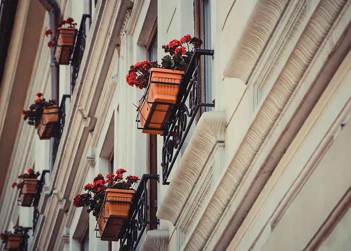 Cherica 4* Constanţa