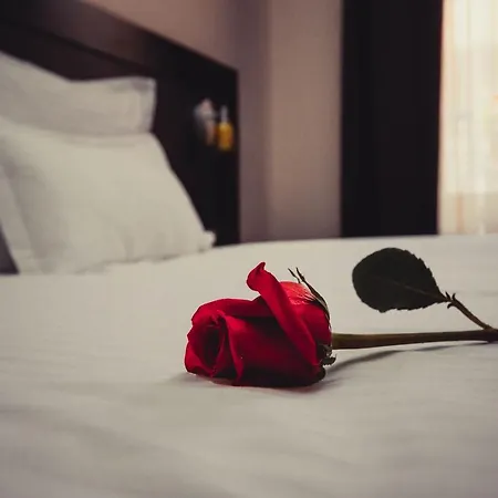 凯瑞卡酒店 酒店