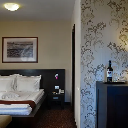 酒店 凯瑞卡酒店 4*